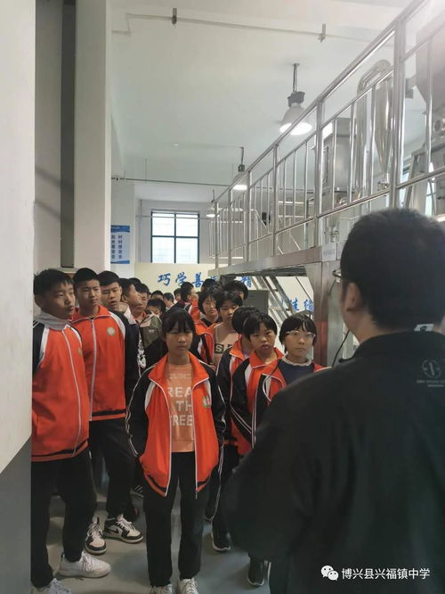 强化实践育人意识,完善实践教学体系 兴福镇中学初二学生社会实践活动纪实