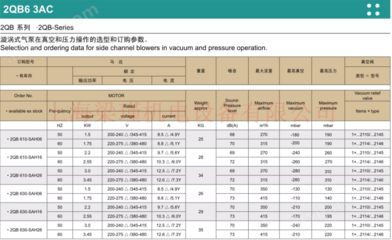 2QB610-SAH26-旋涡气泵,环形高压风机工厂现货
