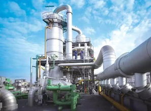 巴斯夫连续第九年发布大中华区年度综合报告